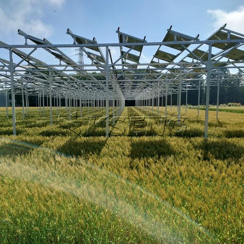 solar farm mounting system montagesysteem voor zonneparken