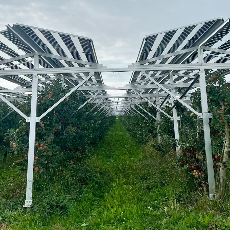 solar farm mounting system montagesysteem voor zonneparken