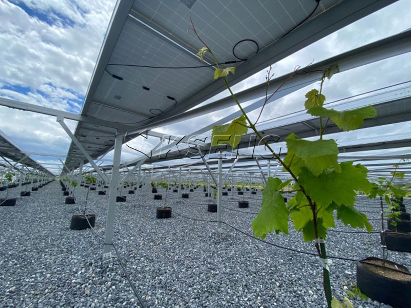 Kseng-Energy-Agri-PV-montagestructuur